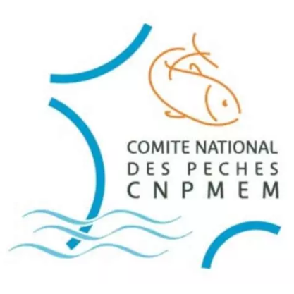 Logo cnpmem couleur
