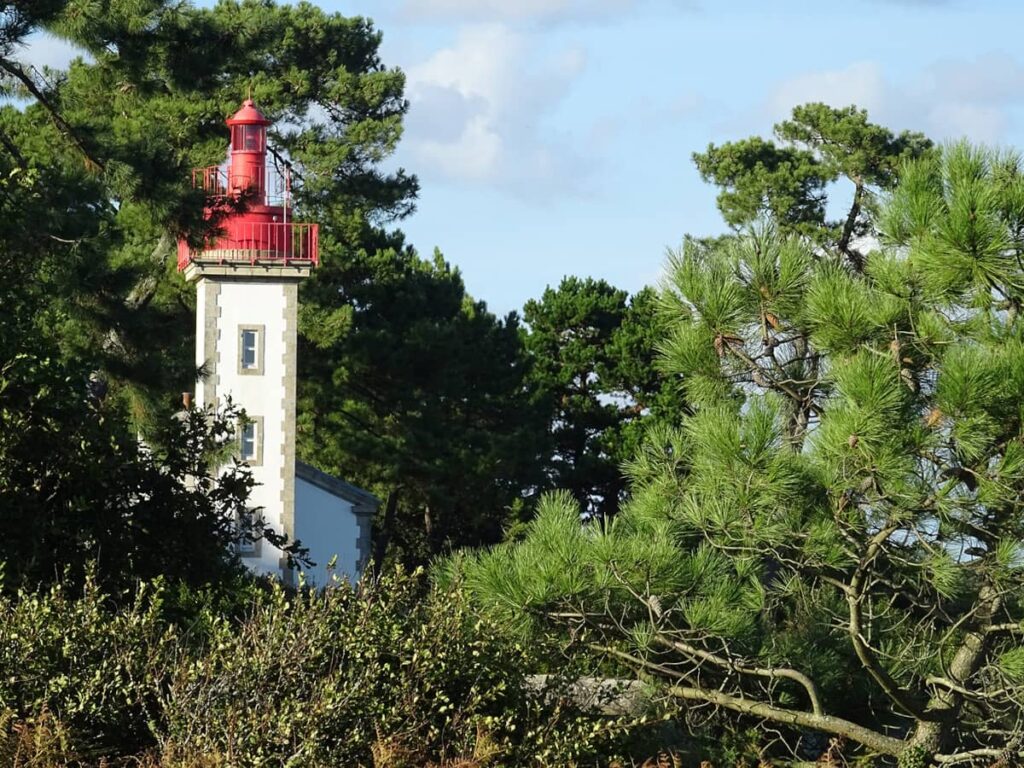 Phare dans forêt de pins